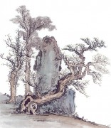 近现代书画 2000 幅_佚名 古树图册huaniaohua3_180