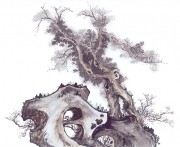 近现代书画 2000 幅_佚名 古树图册huaniaohua3_182