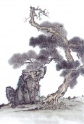 近现代书画 2000 幅_佚名 古树图册huaniaohua3_212