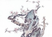近现代书画 2000 幅_佚名 古树图册huaniaohua3_226