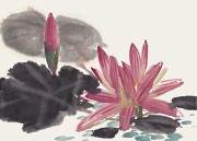 花卉图册_佚名 花卉图册J173-69-国画百花争艳99