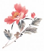 花卉图册_佚名 花卉图册J173-69-国画百花争艳124