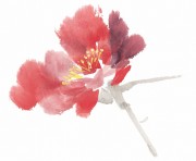 花卉图册_佚名 花卉图册J173-69-国画百花争艳128