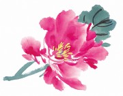 花卉图册_佚名 花卉图册J173-69-国画百花争艳133