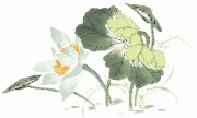 花卉图册_佚名 花卉图册J173-69-国画百花争艳138