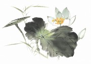 花卉图册_佚名 花卉图册J173-69-国画百花争艳141