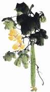 花卉图册_佚名 花卉图册J173-69-国画百花争艳143