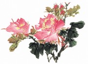 花卉图册_佚名 花卉图册J173-69-国画百花争艳144