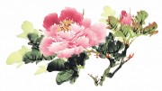 花卉图册_佚名 花卉图册J173-69-国画百花争艳145
