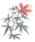 花卉图册_佚名 花卉图册J173-69-国画百花争艳154