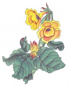 花卉图册_佚名 花卉图册J173-69-国画百花争艳158