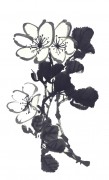 花卉图册_佚名 花卉图册J173-69-国画百花争艳168