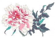 花卉图册_佚名 花卉图册J173-69-国画百花争艳384
