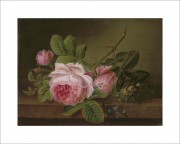 中国油画_佚名 油画 玫瑰和鸟-24x32