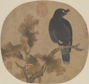中国历代名画-宋代_宋 佚名 秋树鸜鹆图 26.5×25 （缩）