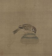 中国历代名画-宋代_宋 佚名 驯禽俯啄图页 故宫博物院藏 最清晰版 24.1×25.7 （缩）