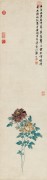 中国历代名画-明代_明 陆治 牡丹图 纸本31.7x102.8 