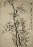 中国历代名画-清代_清 佚名 竹石图 纸本44X62 （缩）