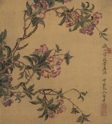 中国历代名画-清代_清 恽寿平 花卉十开-10 
