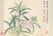 中国历代名画-清代_清 恽寿平 花卉图册十开-8 纸本 33x22.8 