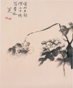 中国历代名画-清代_清 朱耷（八大山人） 花鸟山水册1 30.5x36.5
